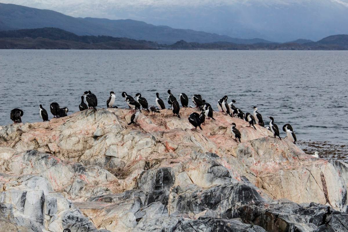 Pasajeros a bordo durante una navegación frente al Faro Les Eclaireurs