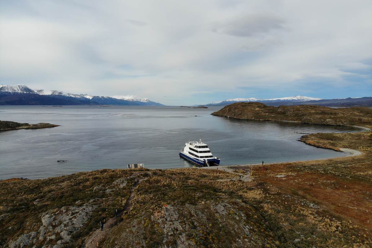 Lobos marinos y cormoranes sobre rocas en el Canal Beagle